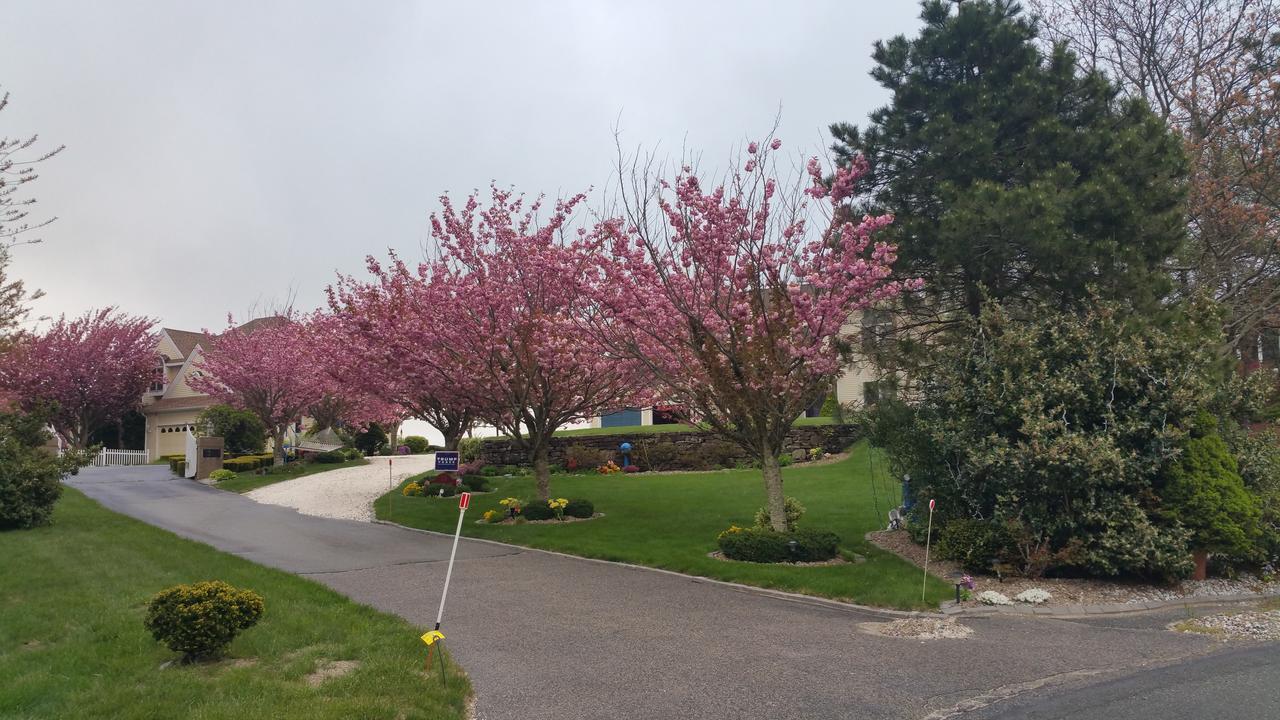 Inn 38 Oak Bluff Circle Plymouth Exterior foto
